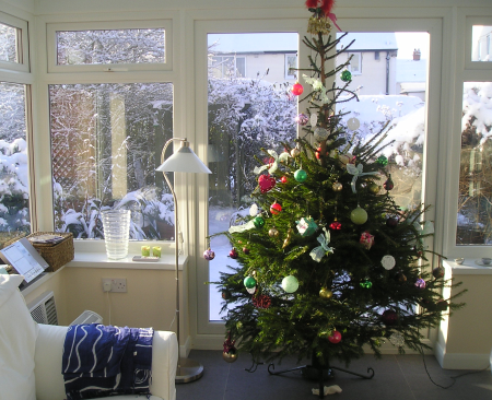 tree in conservatory